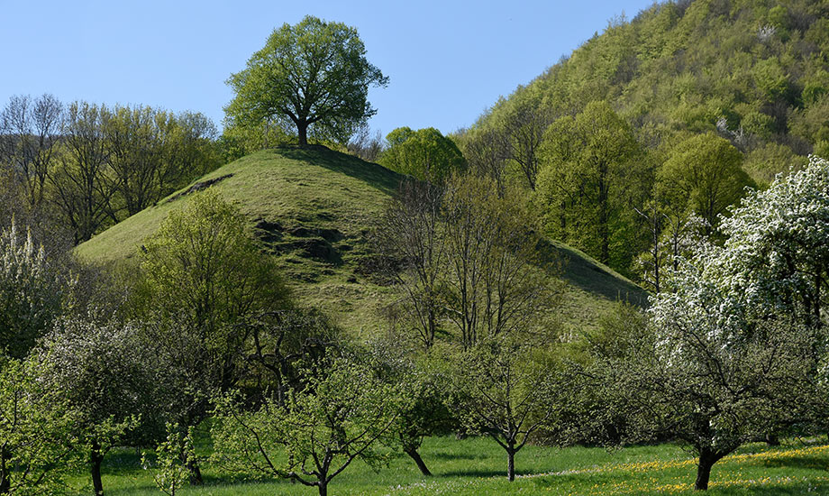 CalverbuehlErmstal ReinerEnkelmann