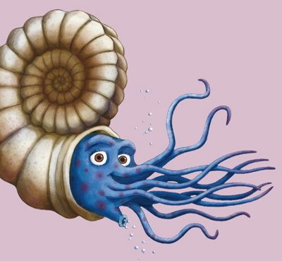 geo frag moni ammonit cut