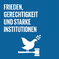 sdg icon 16