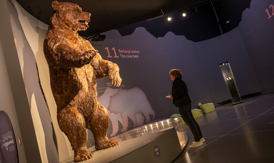 Buekk25 Foto3 UroshGrabner