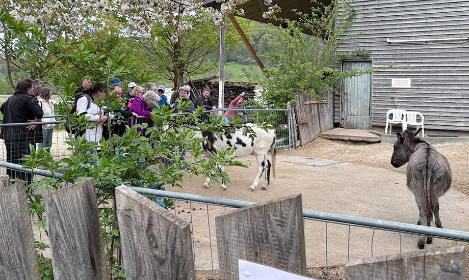 Eisenwurzen Tiertherapie News v2