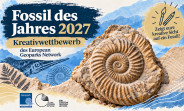 Fossiloftheyear quer v2