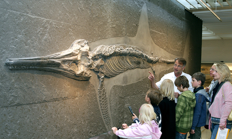 TK Fossiliensammeln UrweltmuseumHauffHolzmaden